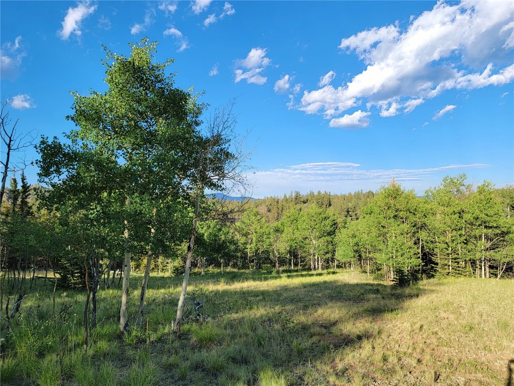 62 Shoshone Drive Como CO 80432