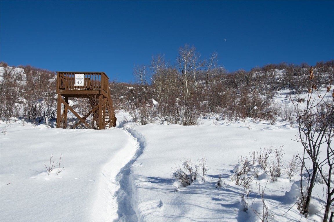 34395 Waterside Court Steamboat Springs CO 80487