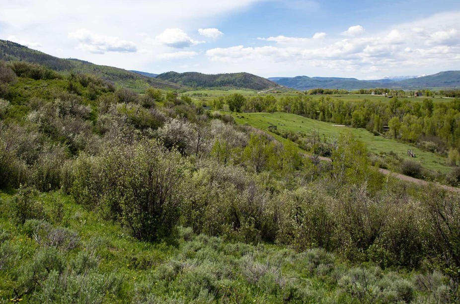 34395 Waterside Court Steamboat Springs CO 80487