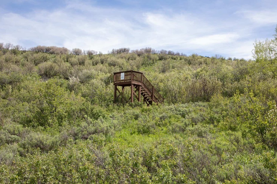 34395 Waterside Court Steamboat Springs CO 80487