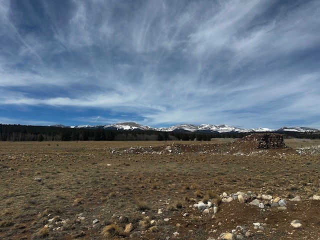 Tbd Stone Creek Fairplay CO 80440