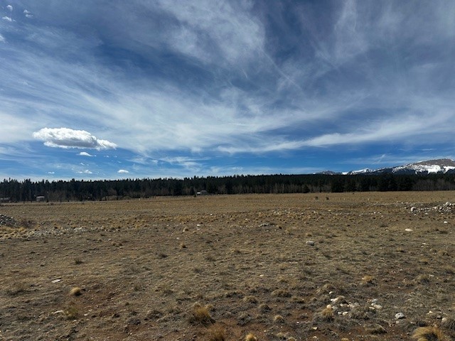 Tbd Stone Creek Fairplay CO 80440