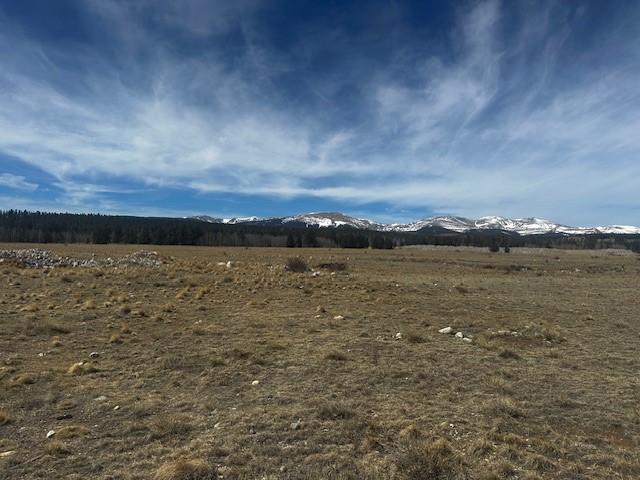 Tbd Stone Creek Fairplay CO 80440