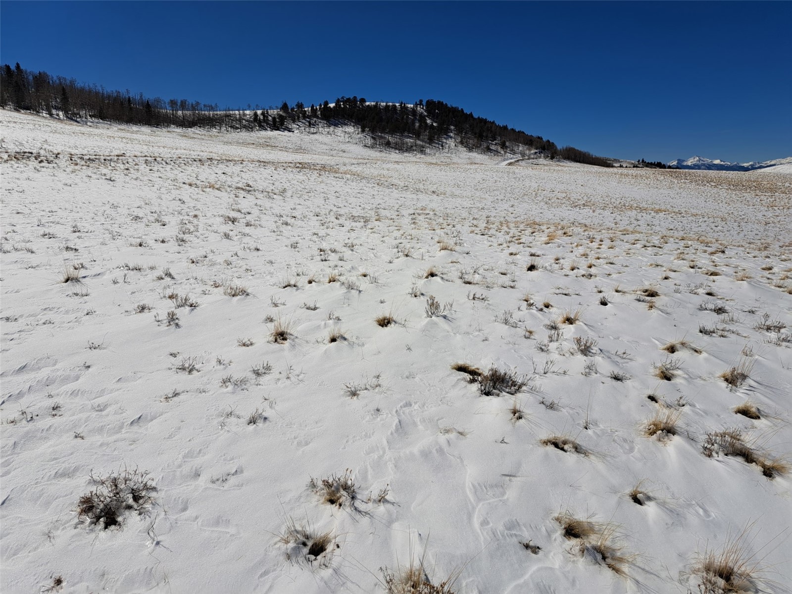 00 Jicarilla Trail Hartsel CO 80449