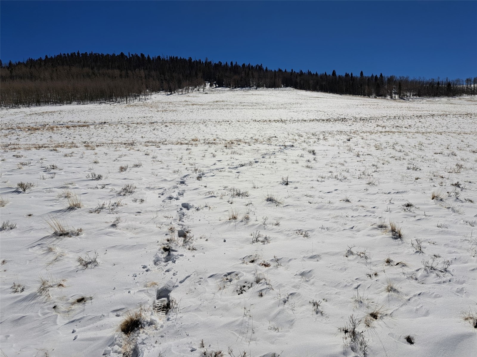00 Jicarilla Trail Hartsel CO 80449