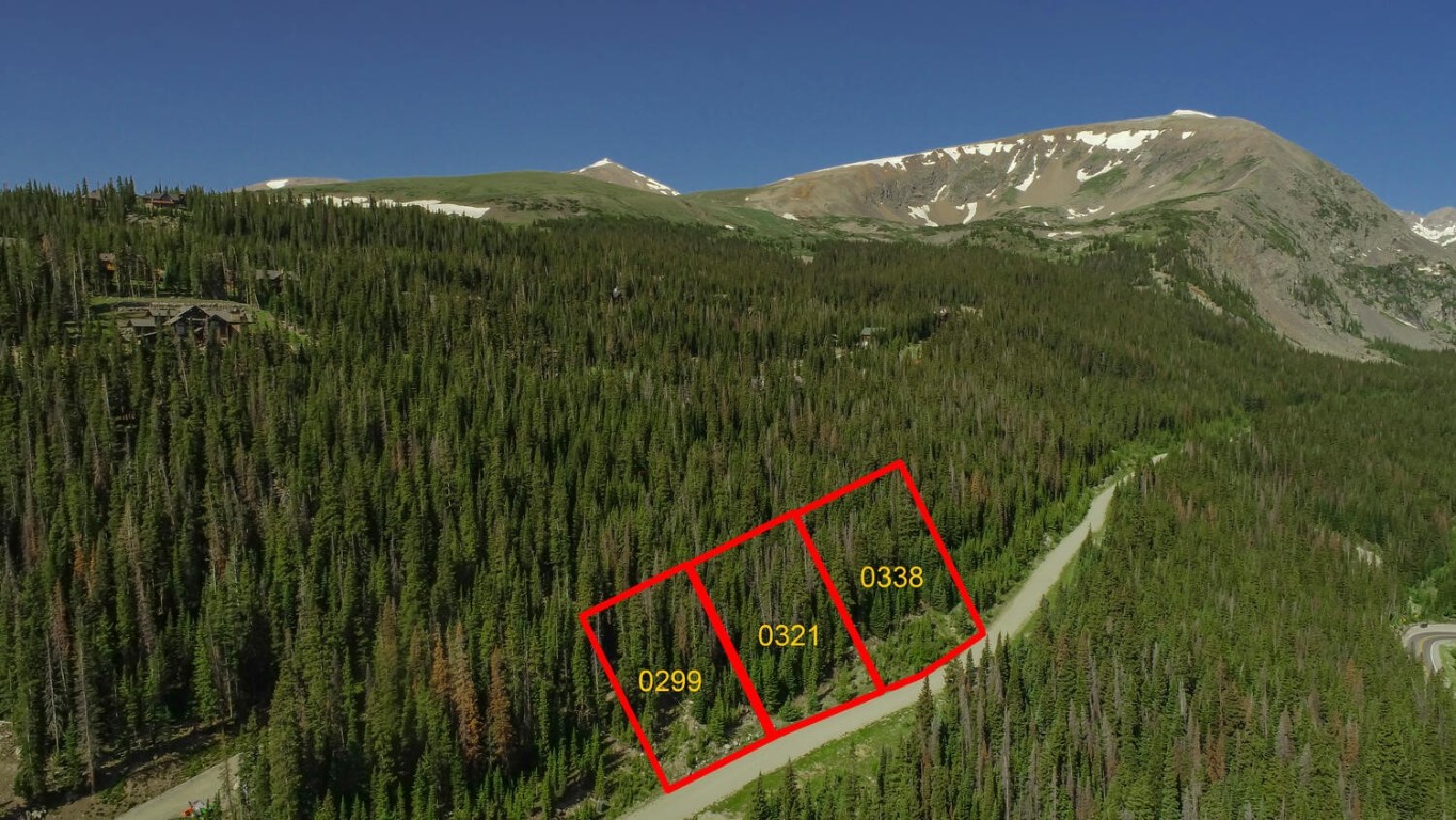 339 Cr 805 Breckenridge CO 80424