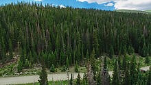 339 Cr 805 Breckenridge CO 80424