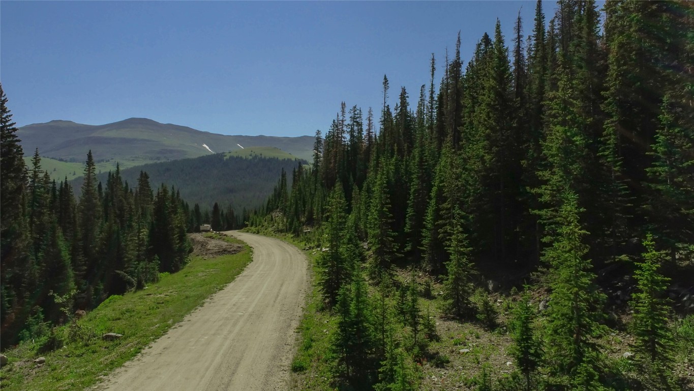 339 Cr 805 Breckenridge CO 80424