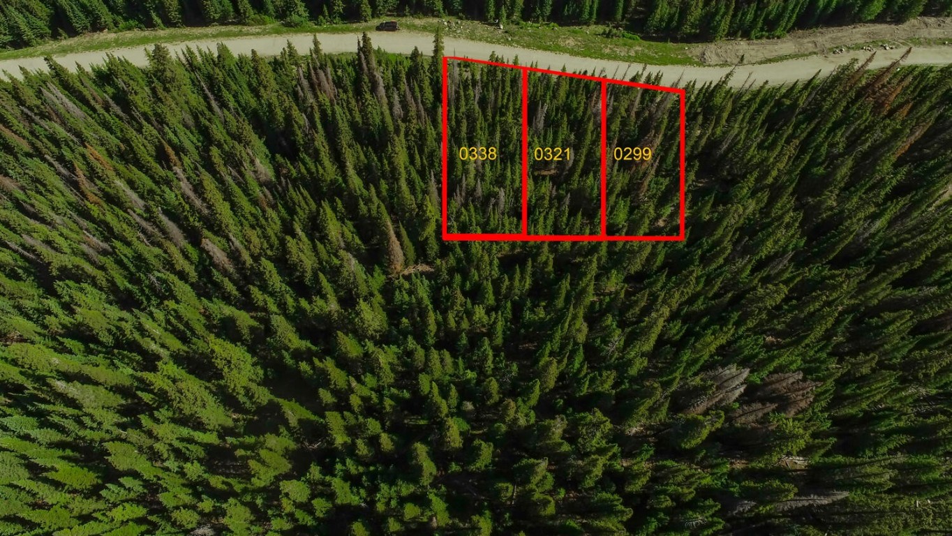 339 Cr 805 Breckenridge CO 80424