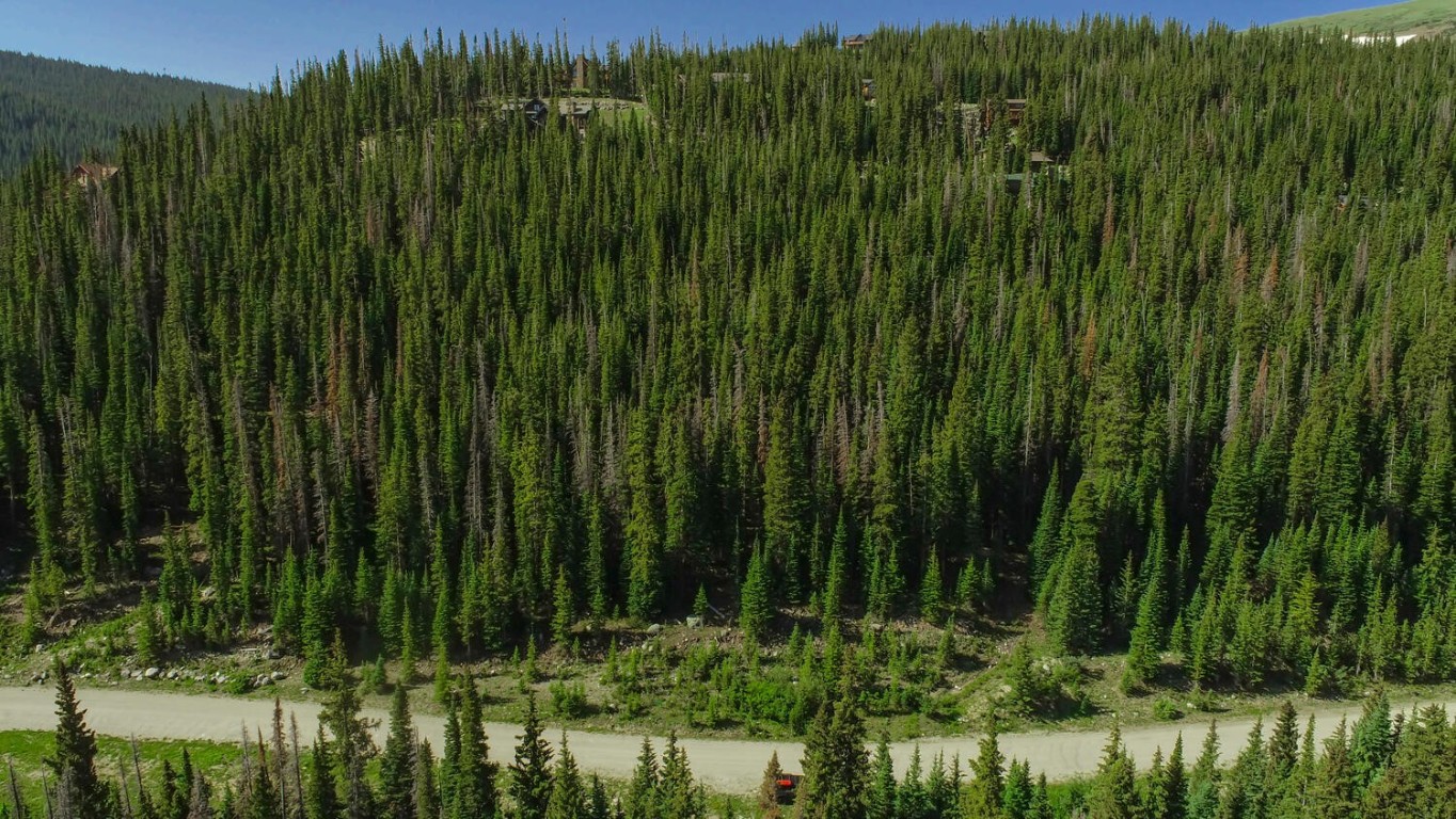 339 Cr 805 Breckenridge CO 80424