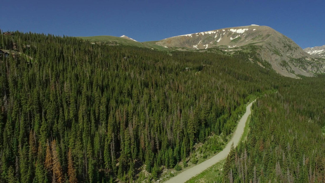 339 Cr 805 Breckenridge CO 80424