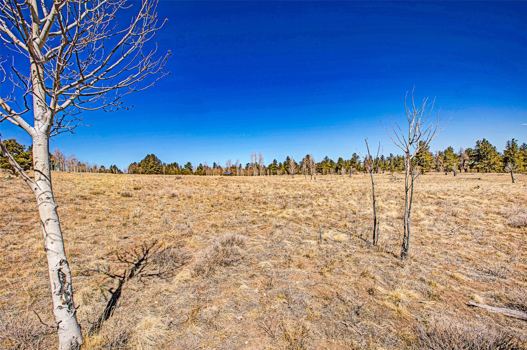 1250 Kaufman Road Hartsel CO 80449