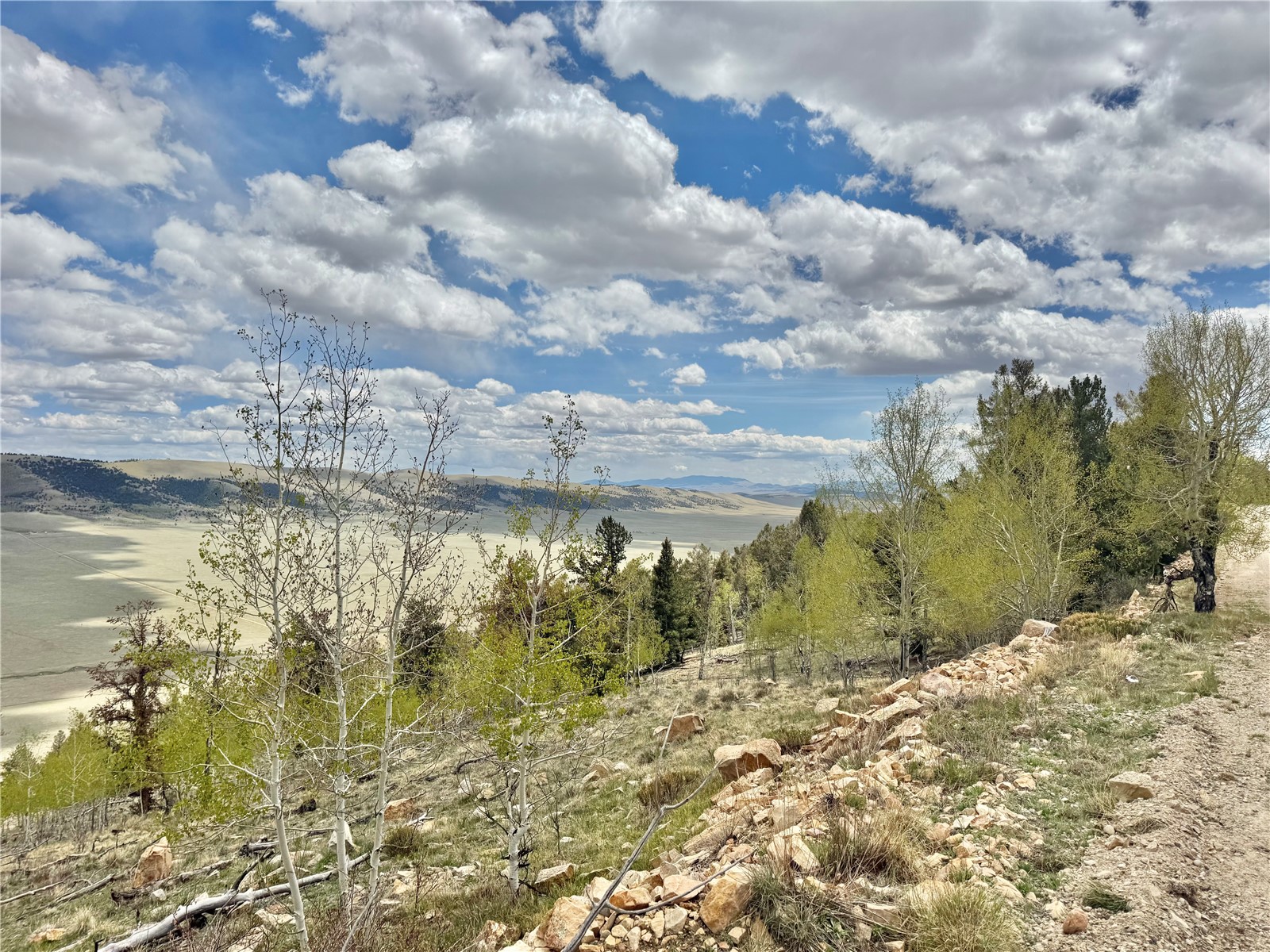 5544 Middle Fork Vista Fairplay CO 80440