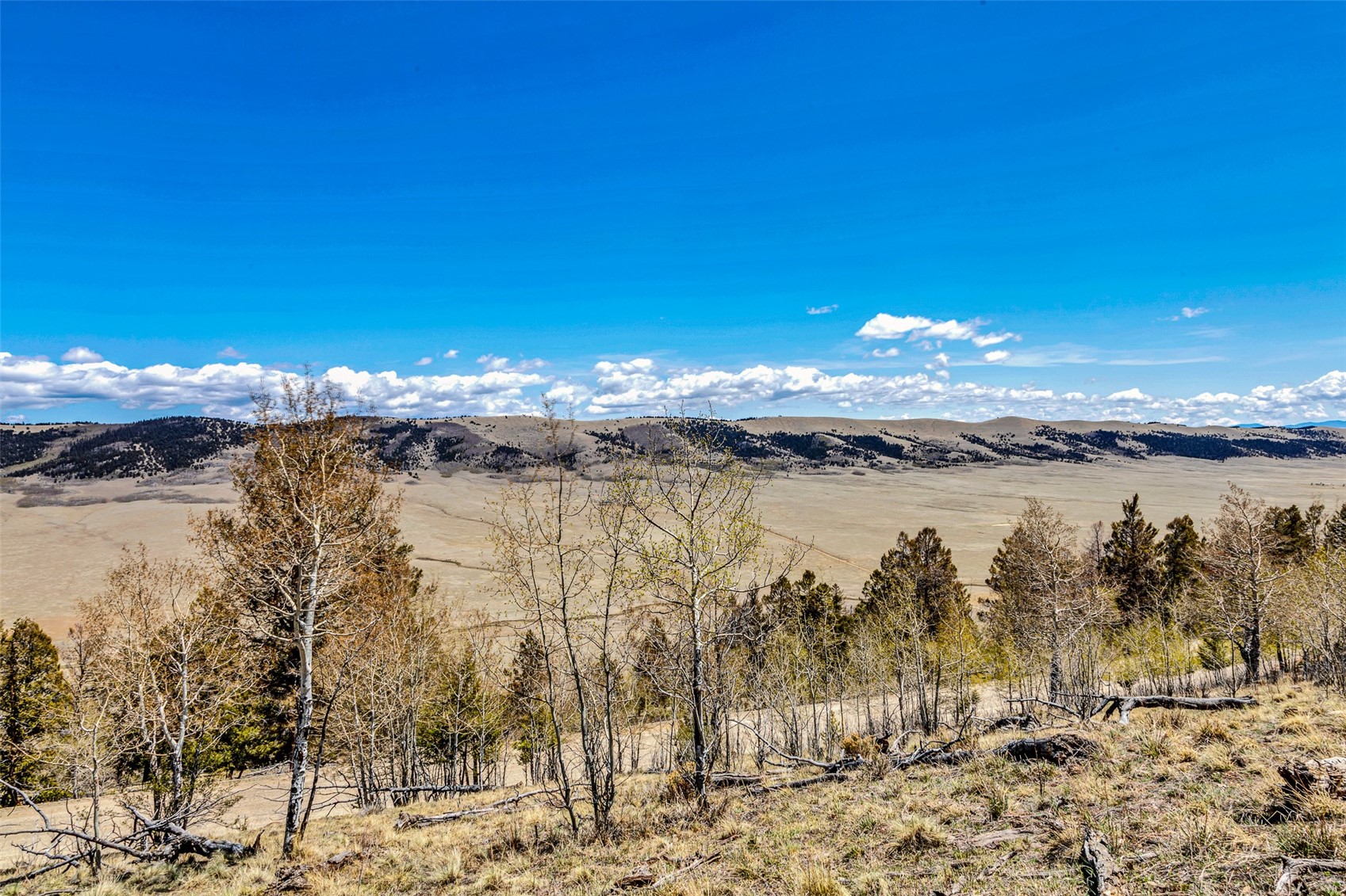 5544 Middle Fork Vista Fairplay CO 80440