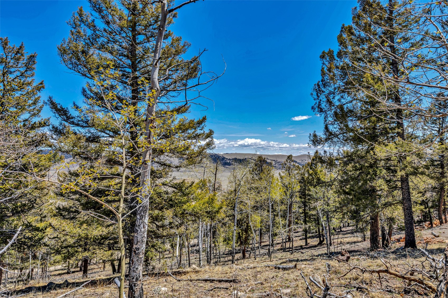 5544 Middle Fork Vista Fairplay CO 80440