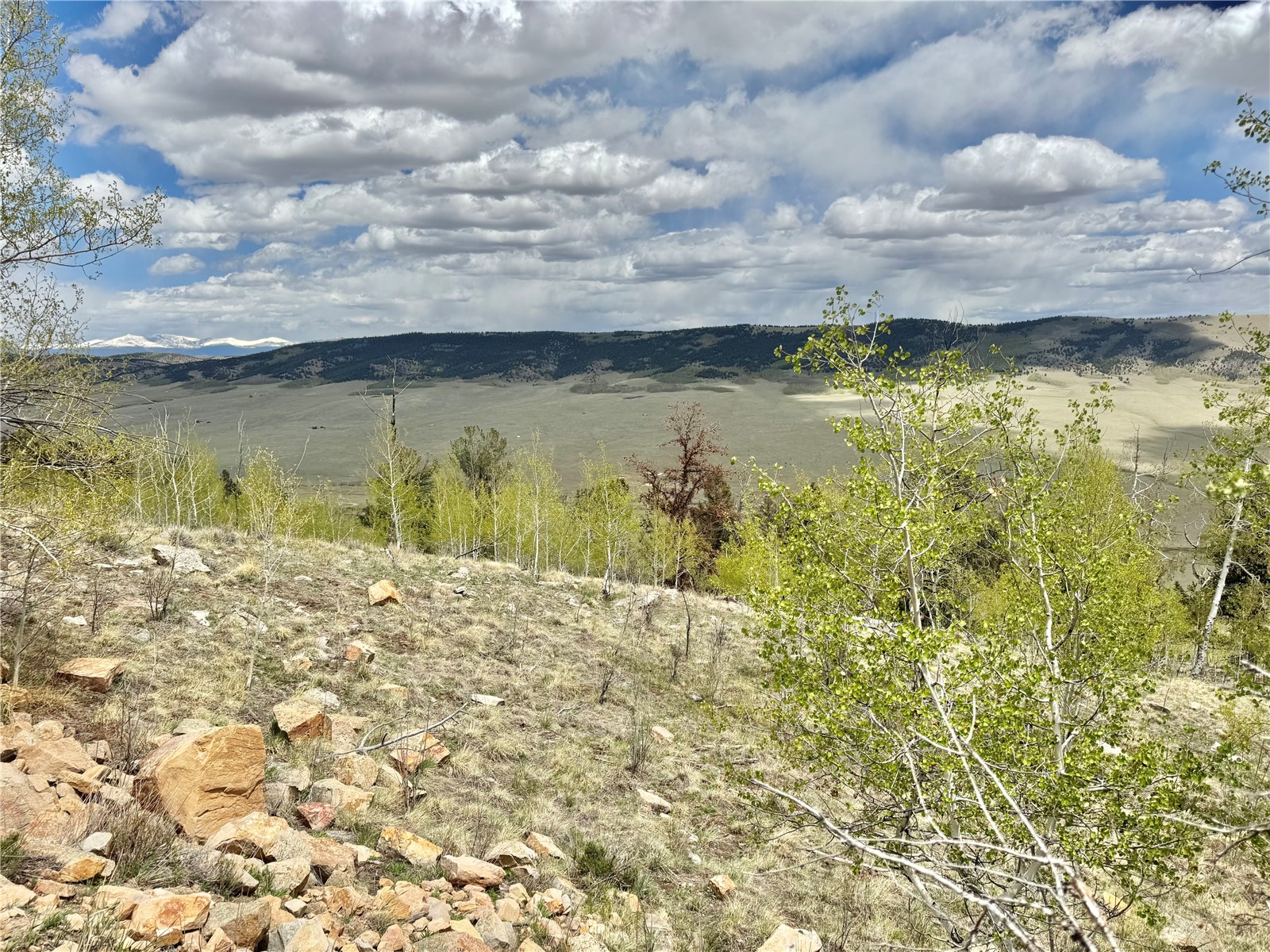 5544 Middle Fork Vista Fairplay CO 80440