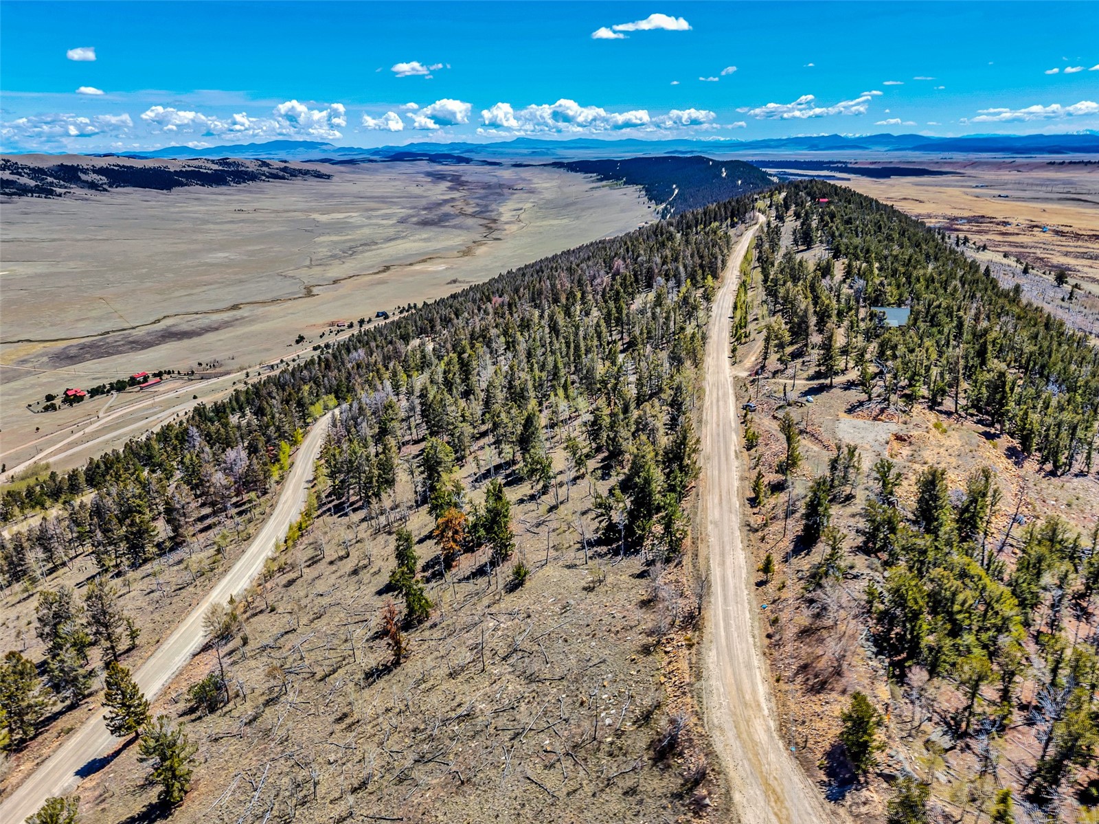 5544 Middle Fork Vista Fairplay CO 80440