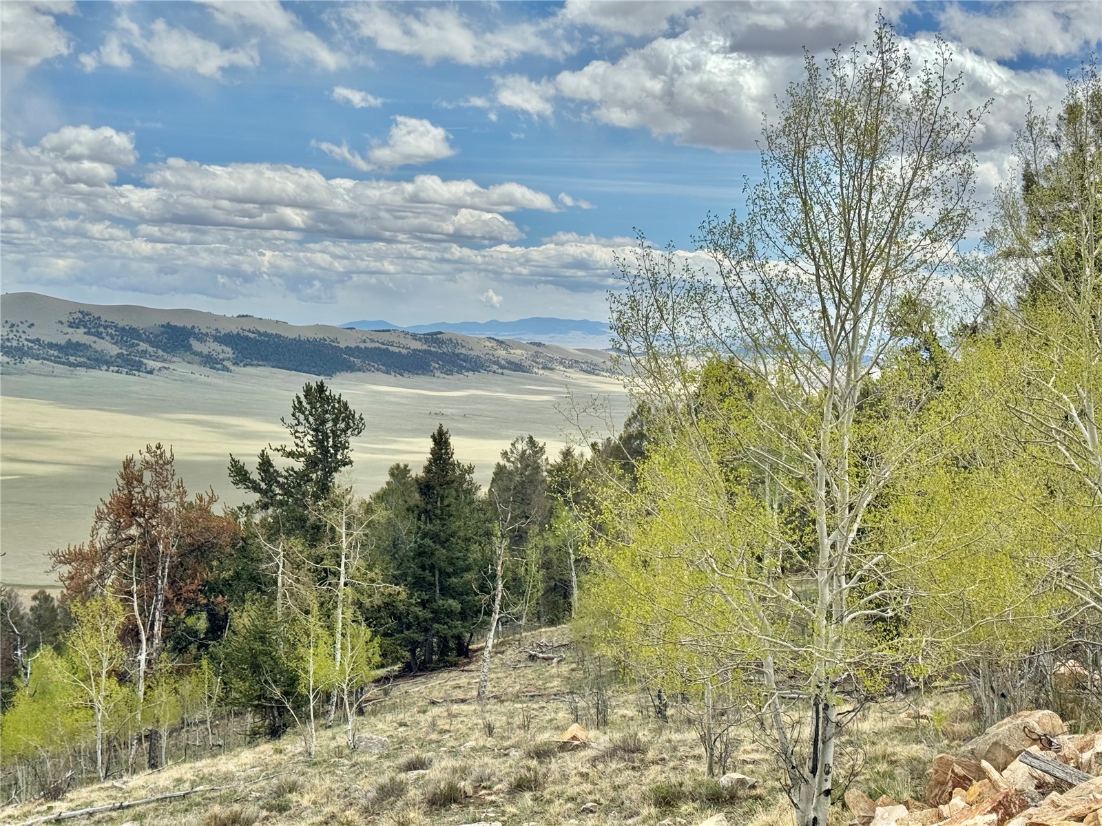 5544 Middle Fork Vista Fairplay CO 80440