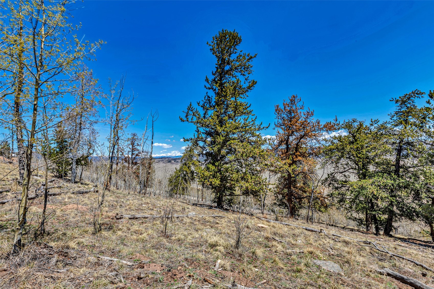 5544 Middle Fork Vista Fairplay CO 80440