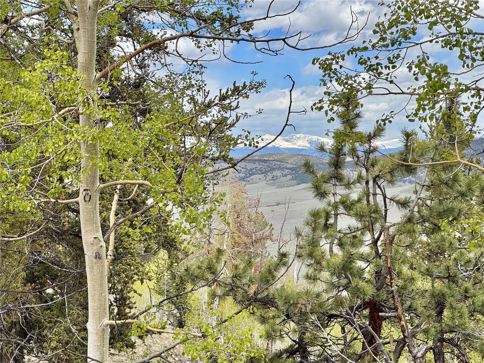 5544 Middle Fork Vista Fairplay CO 80440