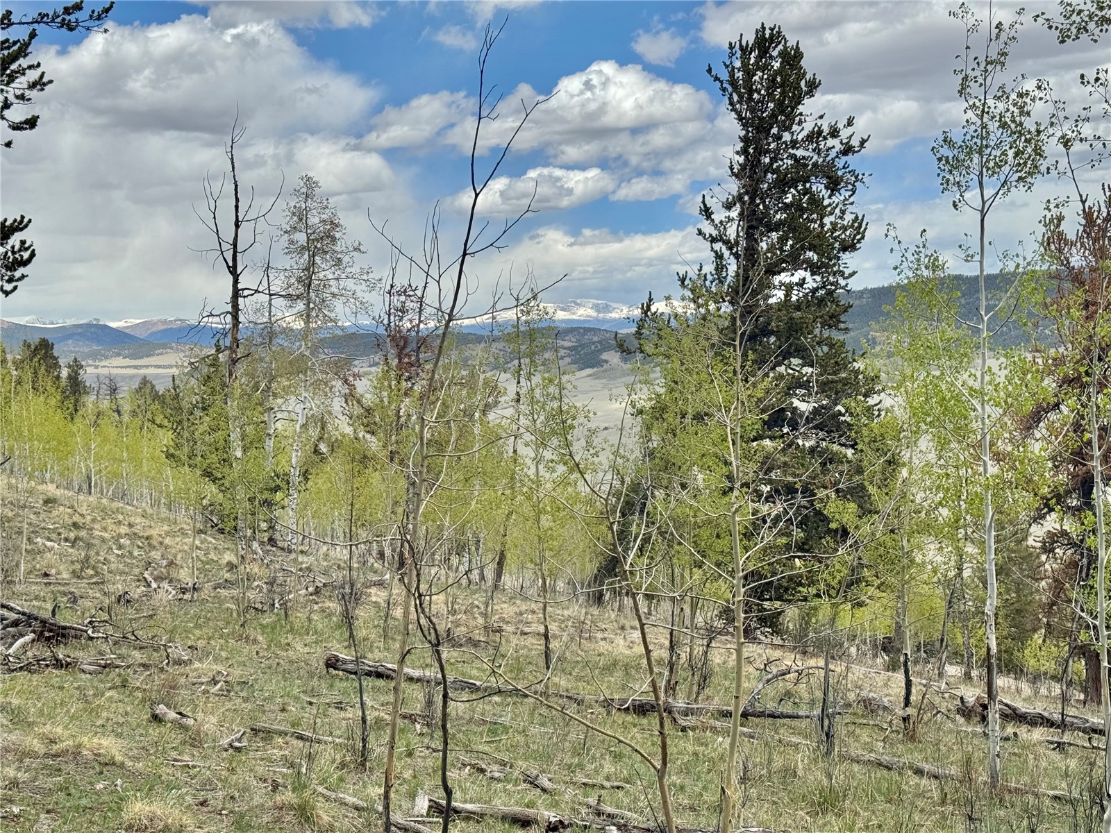 5544 Middle Fork Vista Fairplay CO 80440