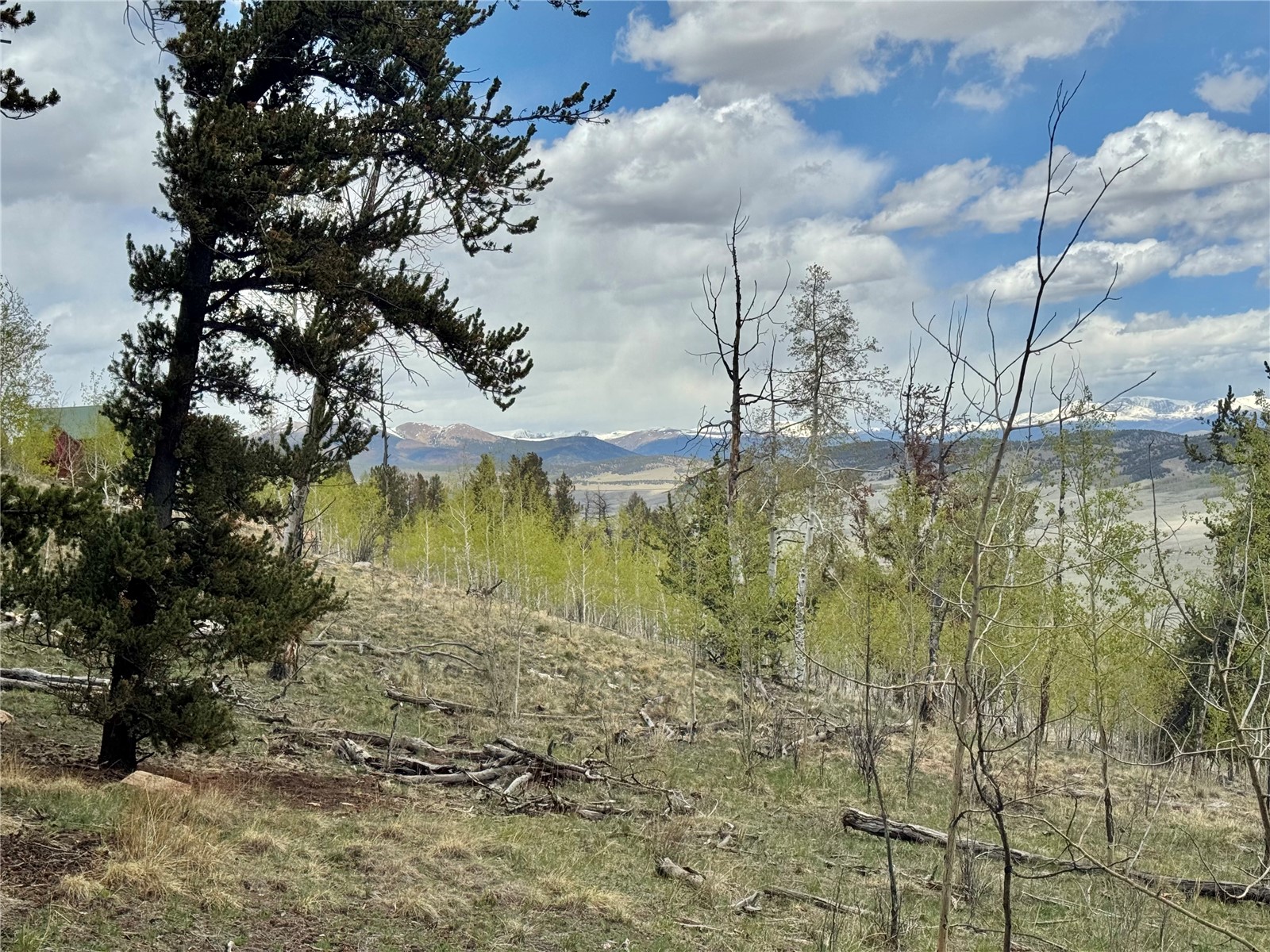5544 Middle Fork Vista Fairplay CO 80440