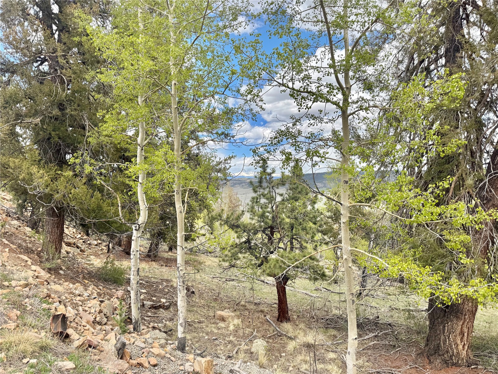 5544 Middle Fork Vista Fairplay CO 80440