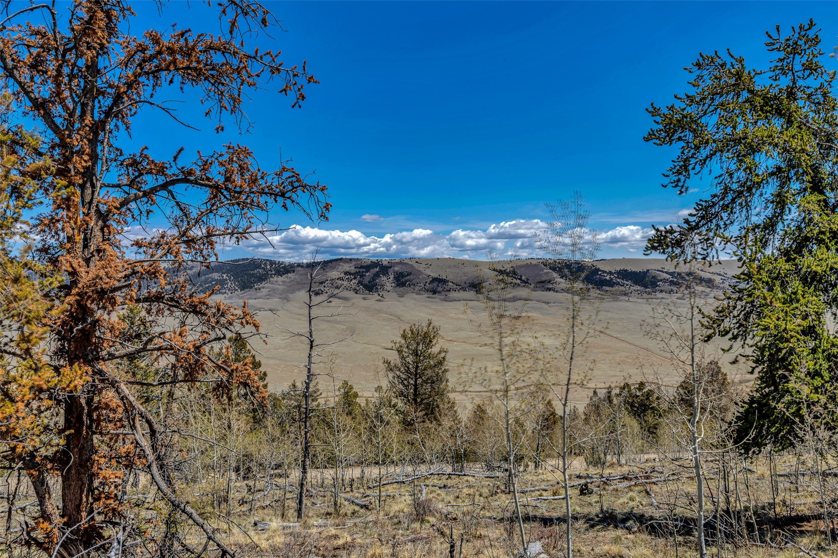 5544 Middle Fork Vista Fairplay CO 80440