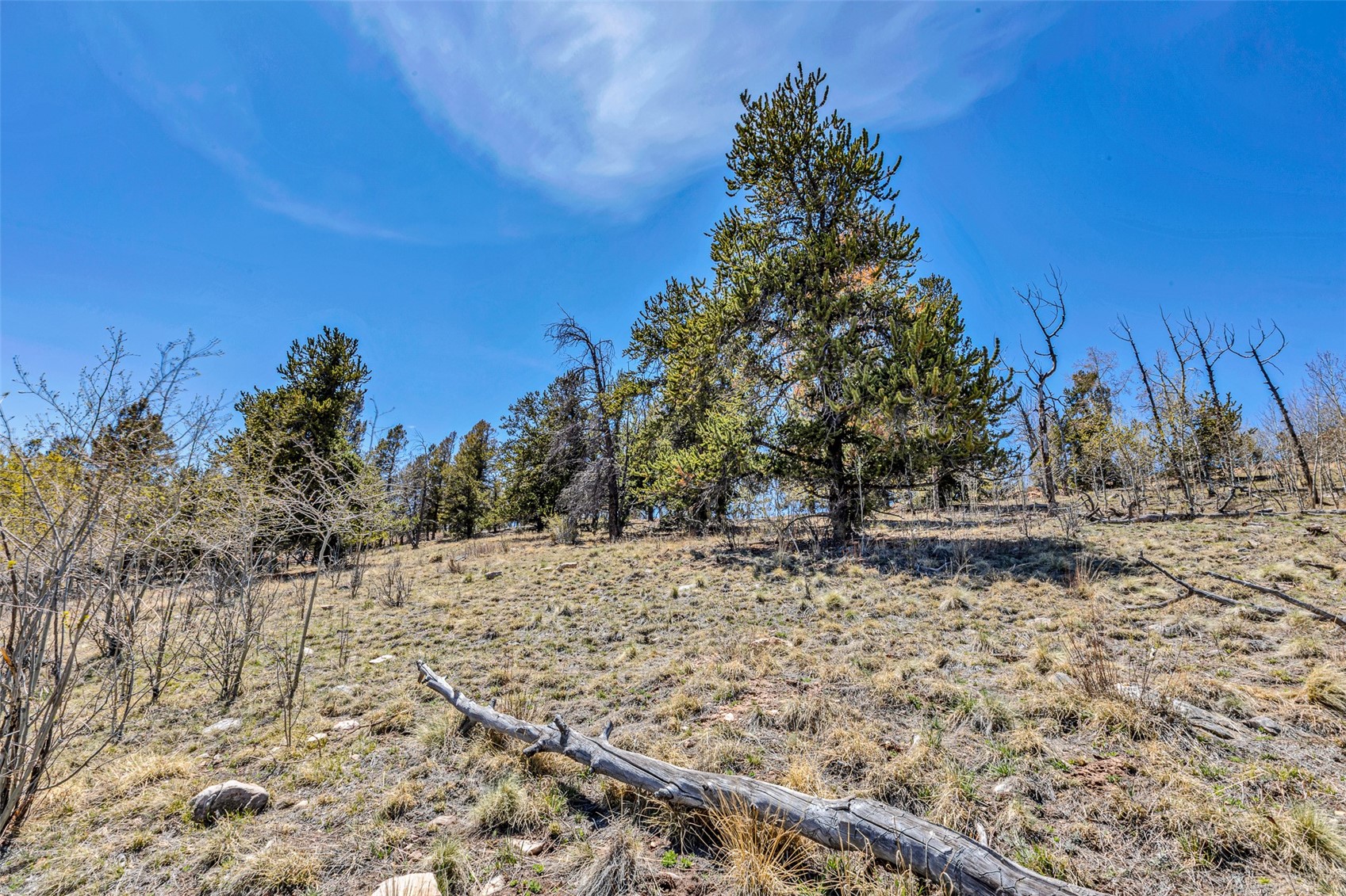 5544 Middle Fork Vista Fairplay CO 80440
