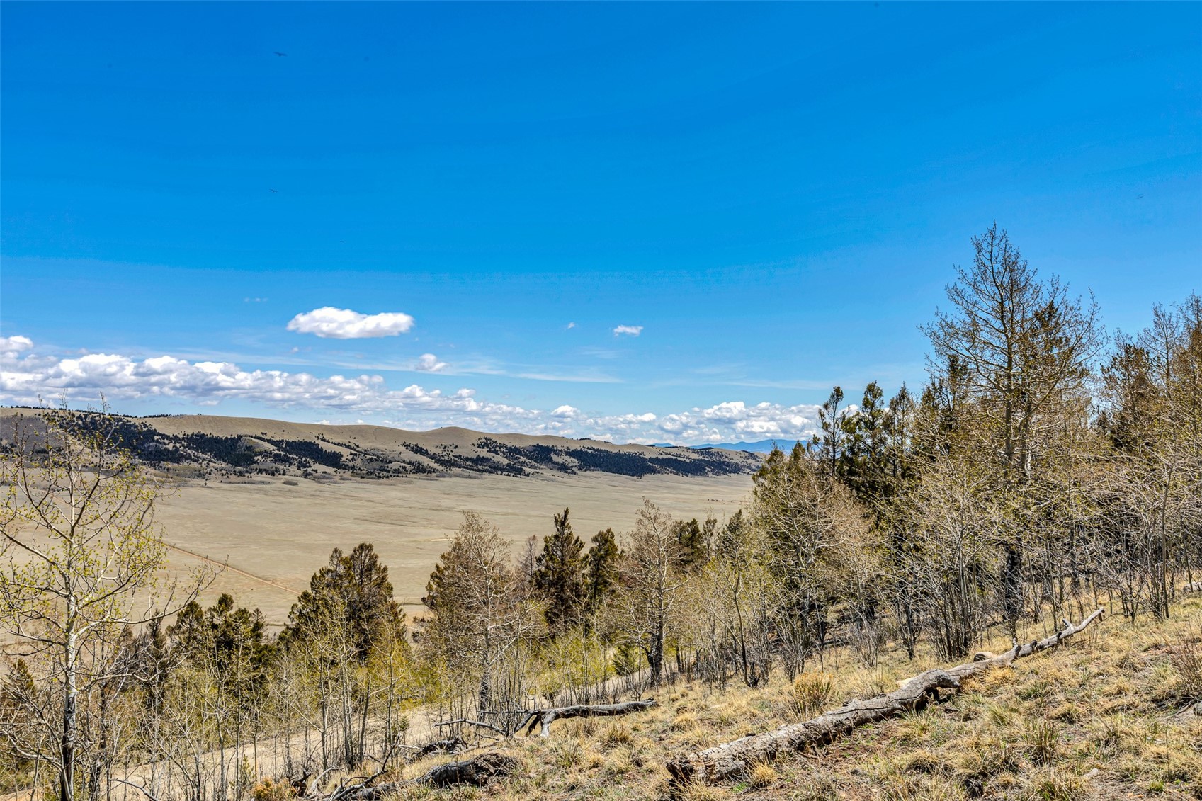 5544 Middle Fork Vista Fairplay CO 80440