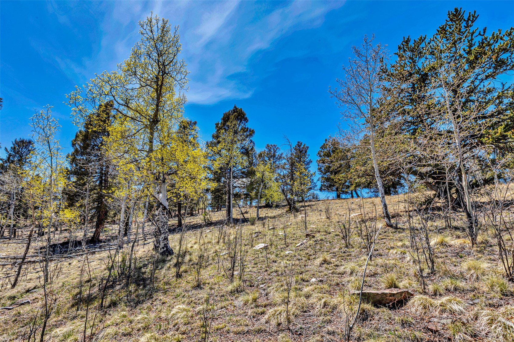 5544 Middle Fork Vista Fairplay CO 80440