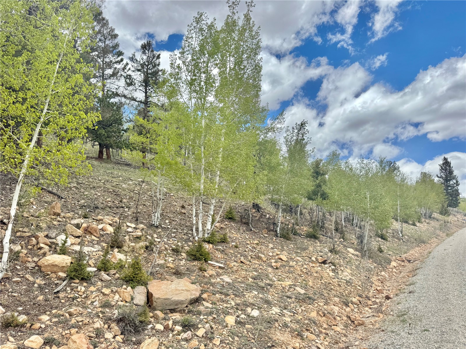 5544 Middle Fork Vista Fairplay CO 80440
