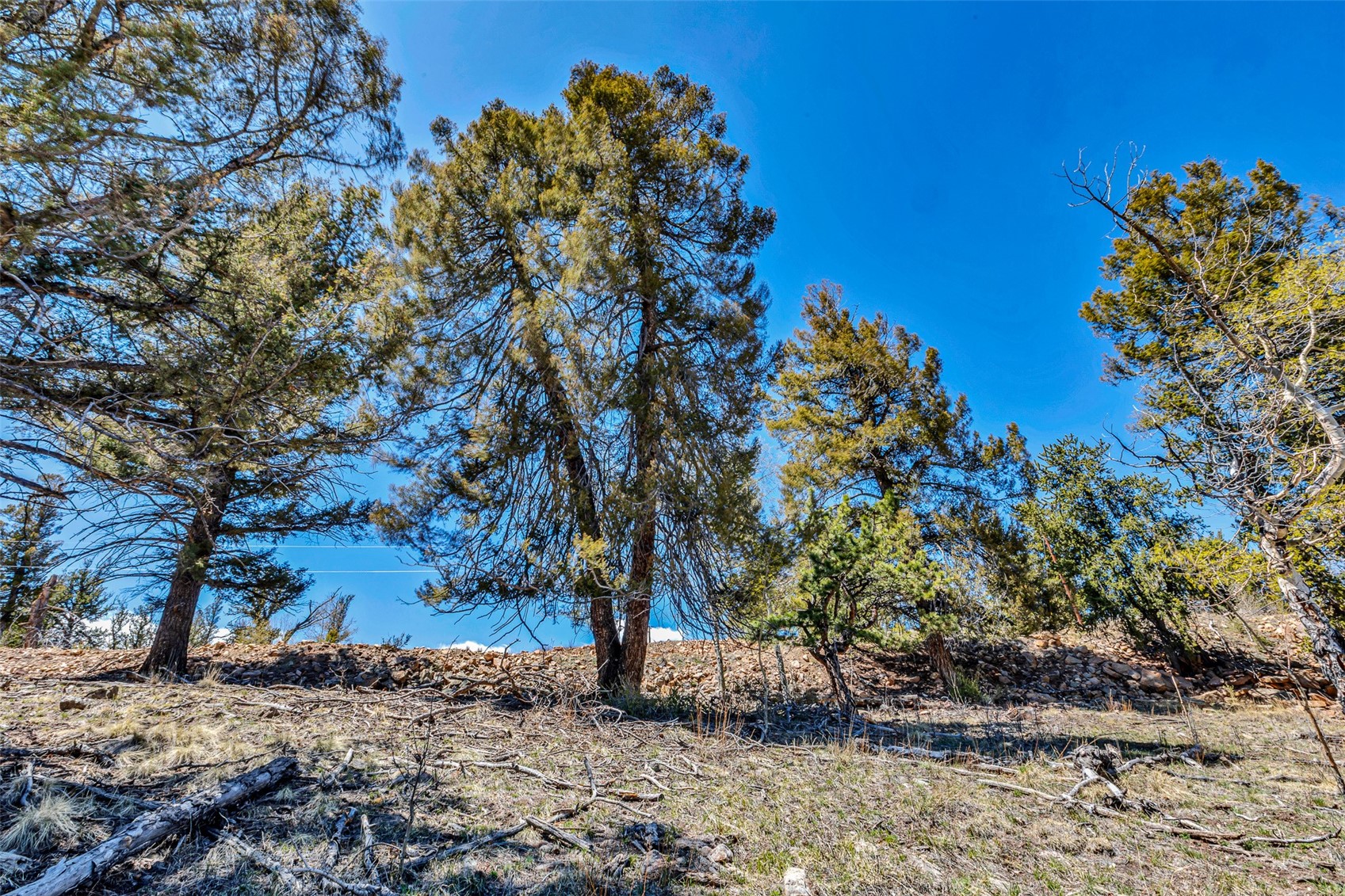 5544 Middle Fork Vista Fairplay CO 80440
