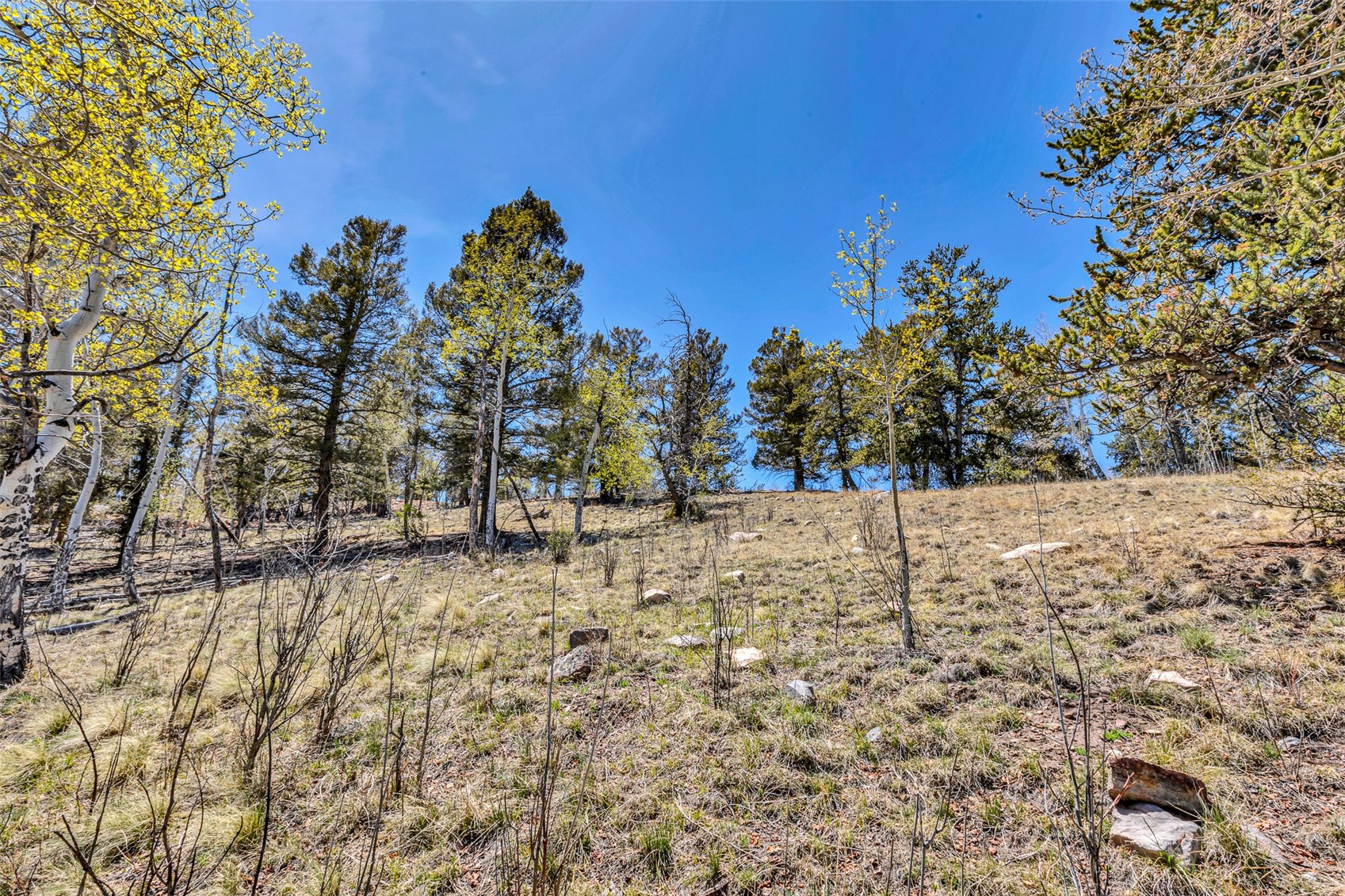 5544 Middle Fork Vista Fairplay CO 80440