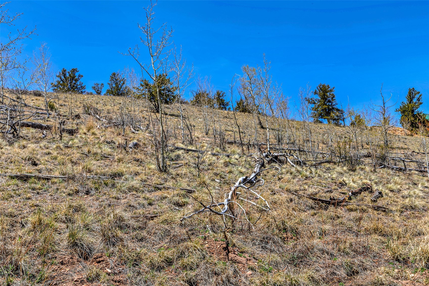 5544 Middle Fork Vista Fairplay CO 80440