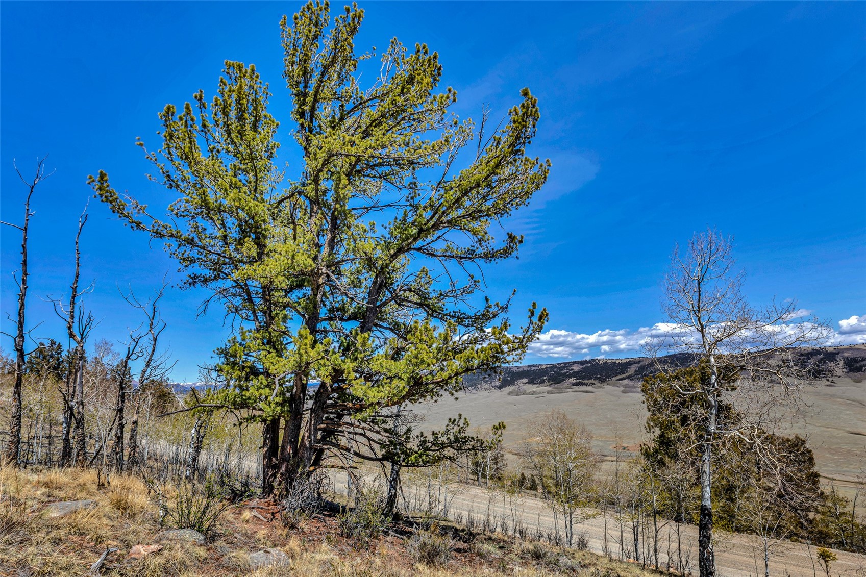 5544 Middle Fork Vista Fairplay CO 80440