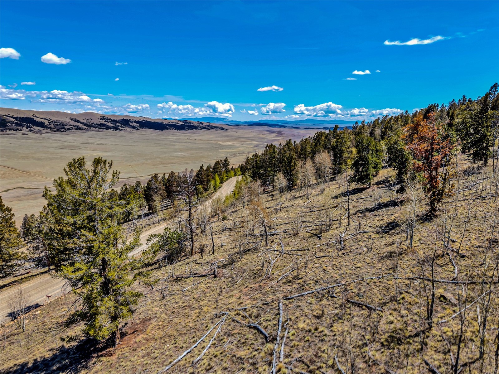 5544 Middle Fork Vista Fairplay CO 80440