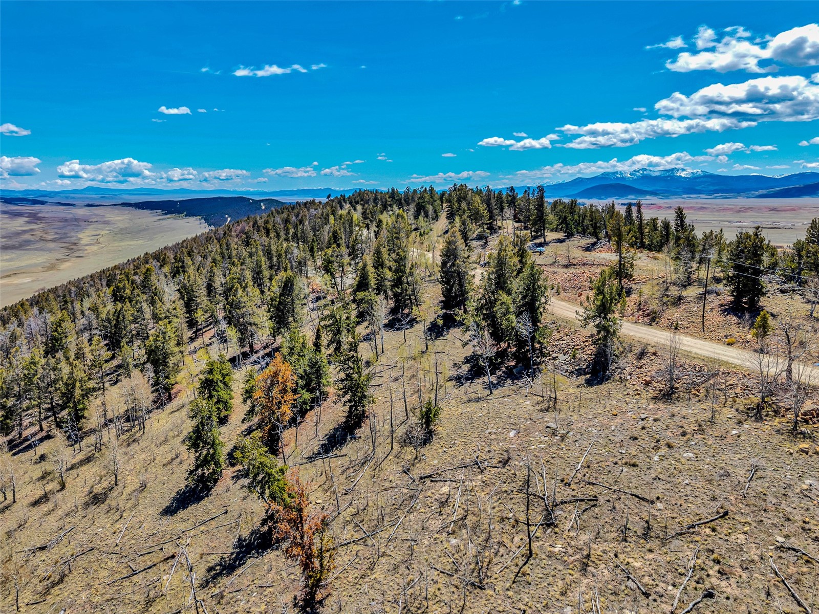 5544 Middle Fork Vista Fairplay CO 80440