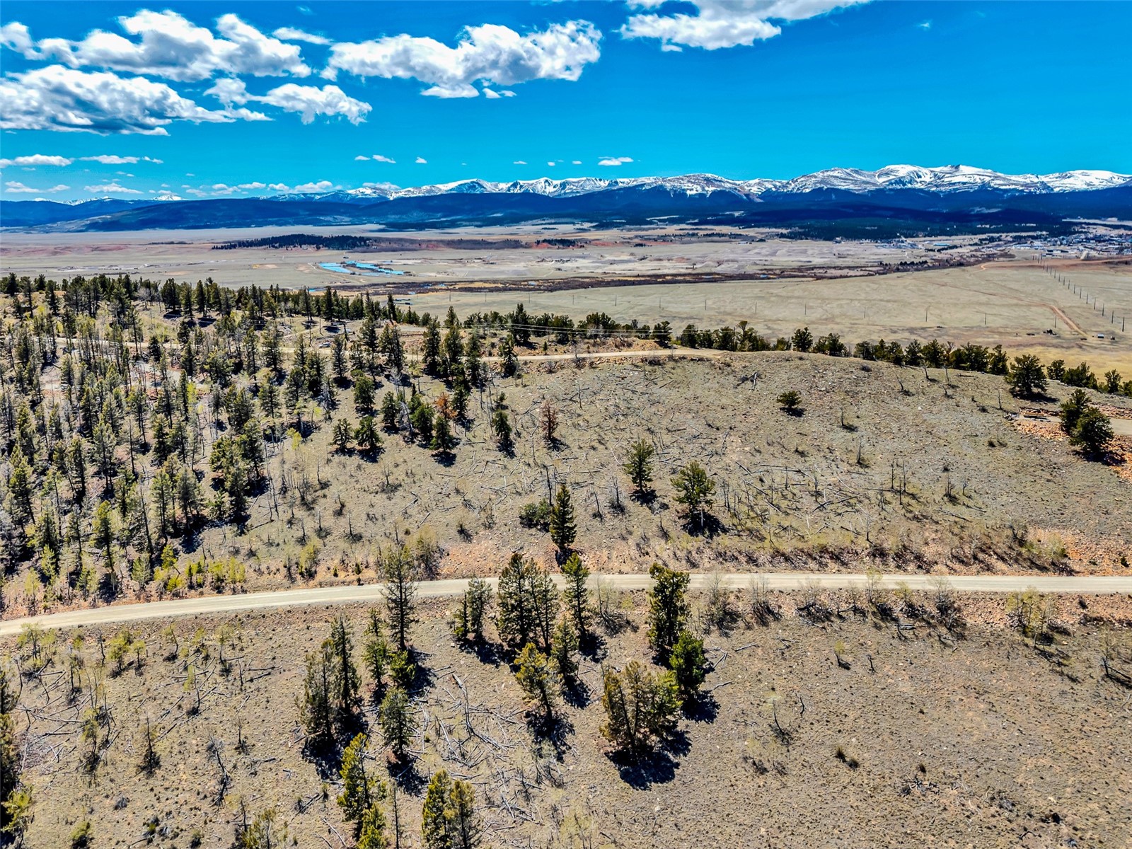 5544 Middle Fork Vista Fairplay CO 80440