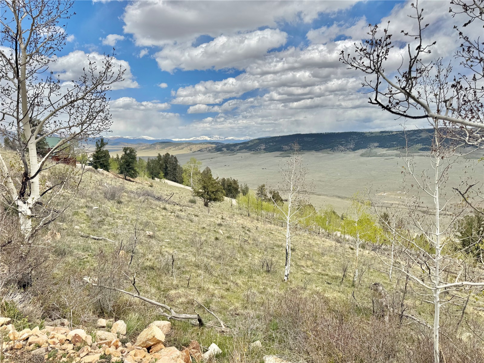 5544 Middle Fork Vista Fairplay CO 80440