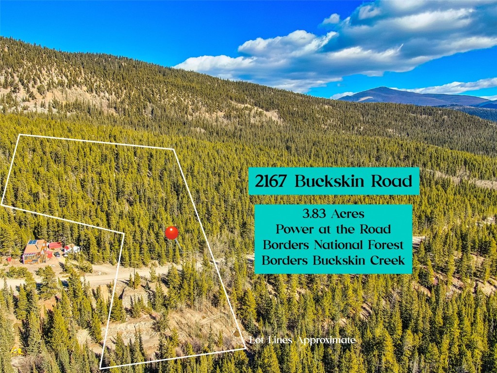 2167 Buckskin Road Alma CO 80440