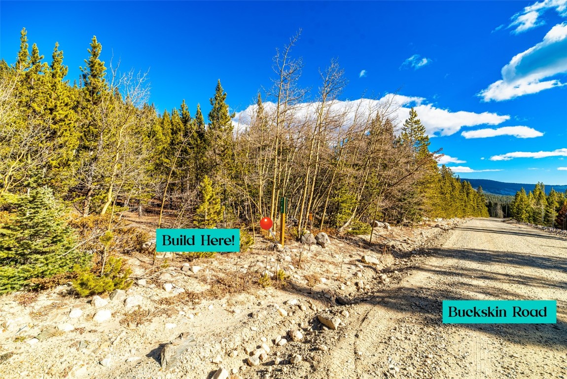 2167 Buckskin Road Alma CO 80440