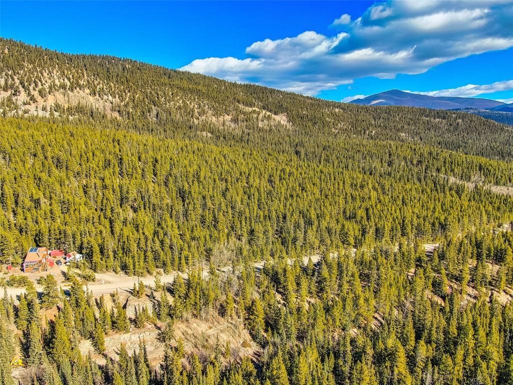 2167 Buckskin Road Alma CO 80440