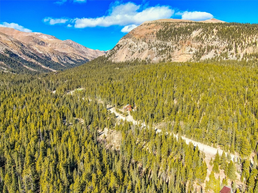 2167 Buckskin Road Alma CO 80440