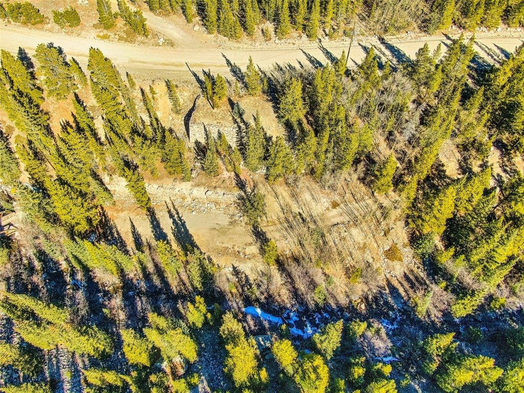 2167 Buckskin Road Alma CO 80440