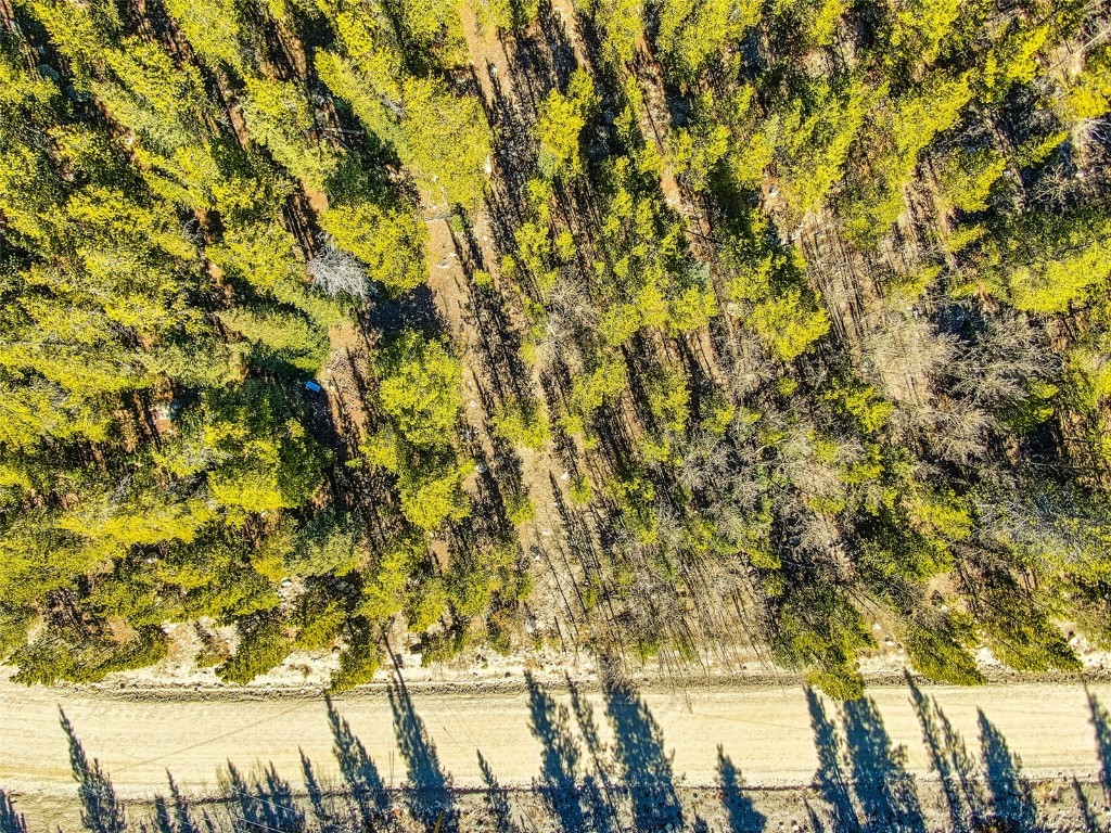 2167 Buckskin Road Alma CO 80440