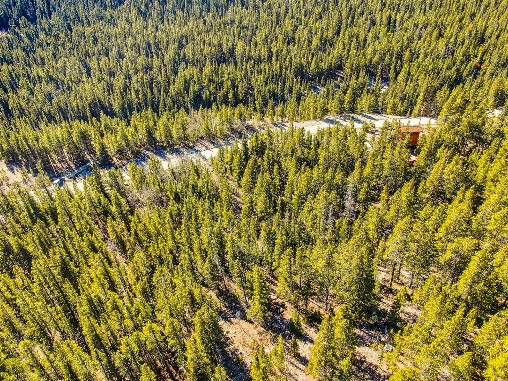 2167 Buckskin Road Alma CO 80440