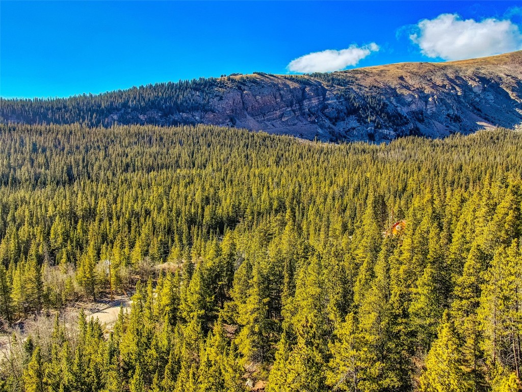 2167 Buckskin Road Alma CO 80440