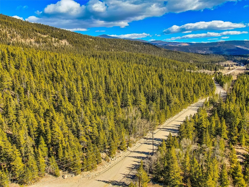 2167 Buckskin Road Alma CO 80440