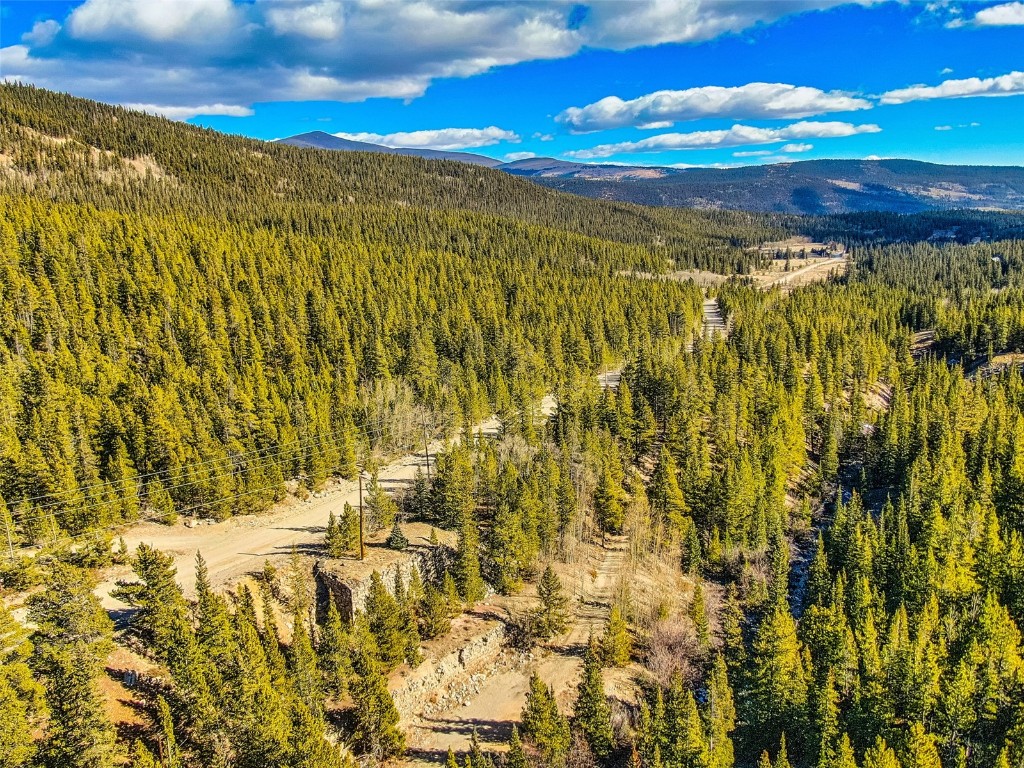 2167 Buckskin Road Alma CO 80440